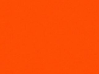SC052 California-Poppy(N)