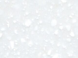 T-021 Pure Arctic