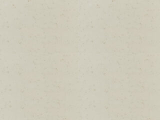 NA-342 Grain Stone