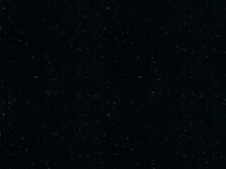 P-005 Night Gleam