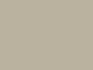 P-022 Latte Gray