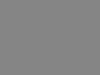 U-202 Smoke Gray