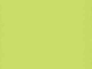 U-221 Leaf Green